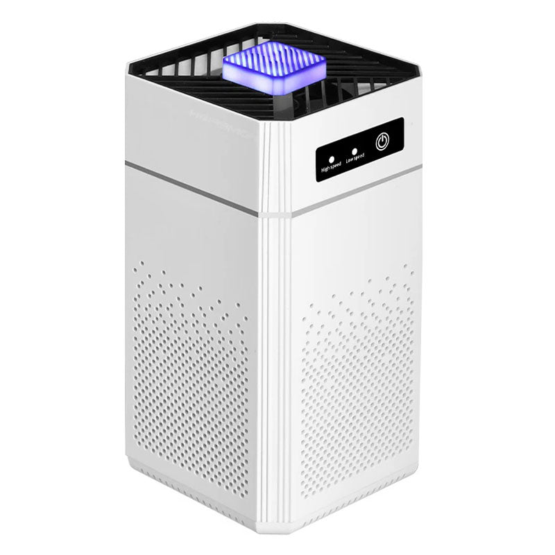 Portable Mini Air Purifier