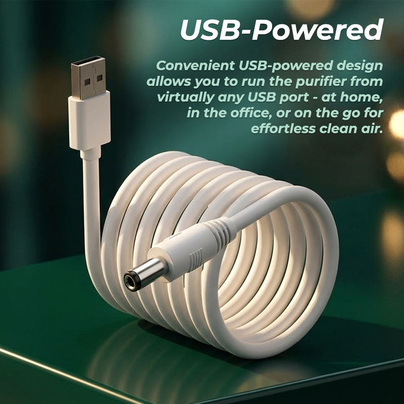 Portable Mini Air Purifier